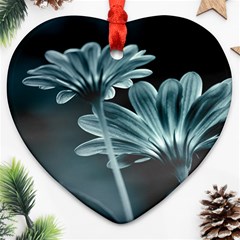 Osterspermum Heart Ornament (Two Sides)