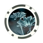 Osterspermum Poker Chip Front