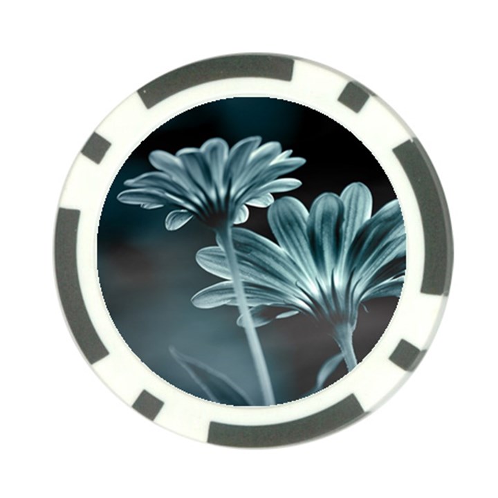 Osterspermum Poker Chip