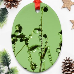 Mint Drops  Oval Ornament by Siebenhuehner