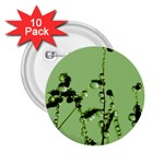 Mint Drops  2.25  Button (10 pack) Front