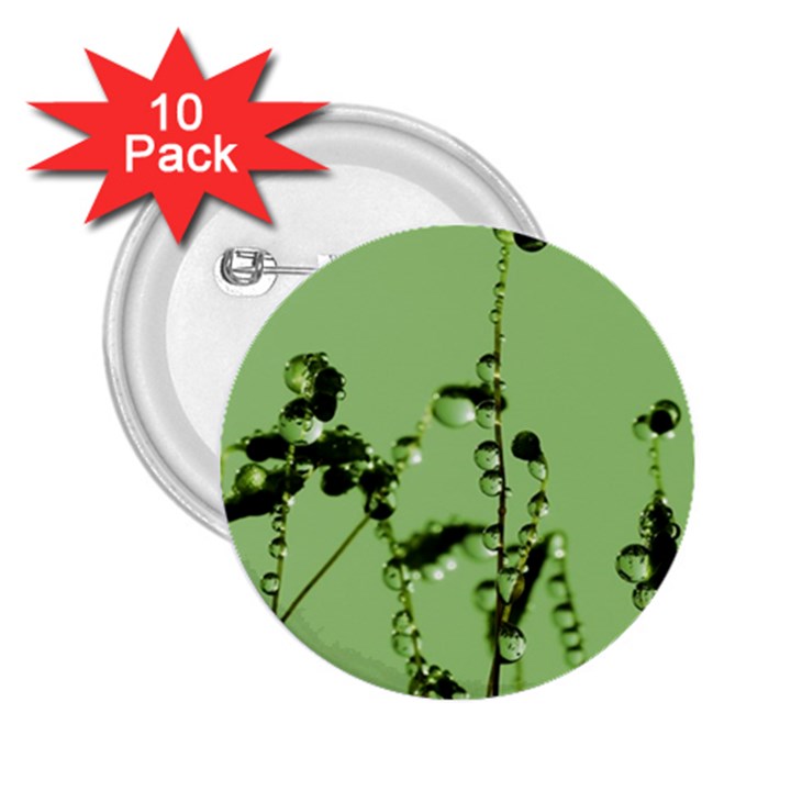 Mint Drops  2.25  Button (10 pack)