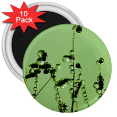 Mint Drops  3  Button Magnet (10 Pack) by Siebenhuehner