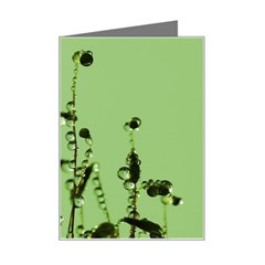 Mint Drops  Mini Greeting Card by Siebenhuehner