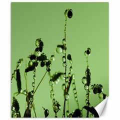 Mint Drops  Canvas 20  X 24  (unframed) by Siebenhuehner