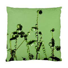 Mint Drops  Cushion Case (single Sided)  by Siebenhuehner