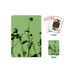 Mint Drops  Playing Cards (mini)