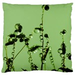 Mint Drops  Large Cushion Case (Single Sided)  Front