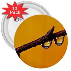 Tree Drops  3  Button (10 Pack) by Siebenhuehner