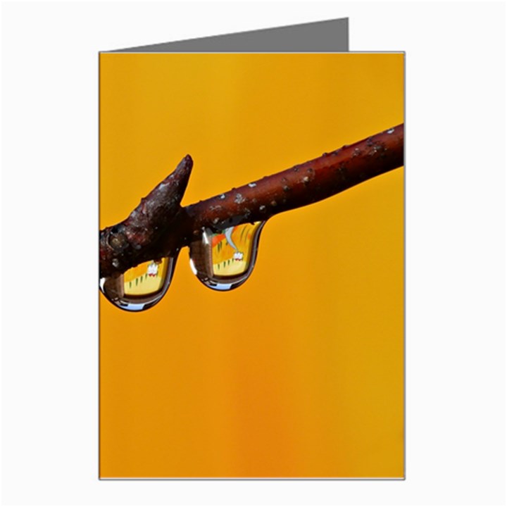 Tree Drops  Greeting Card