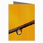 Tree Drops  Greeting Card Right