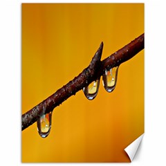 Tree Drops  Canvas 12  X 16  (unframed) by Siebenhuehner