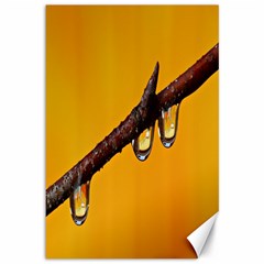 Tree Drops  Canvas 12  X 18  (unframed) by Siebenhuehner