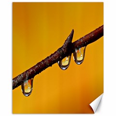 Tree Drops  Canvas 16  X 20  (unframed) by Siebenhuehner