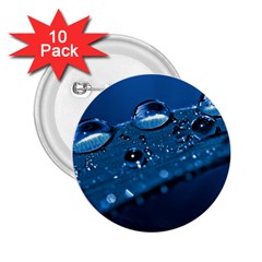 Drops 2 25  Button (10 Pack) by Siebenhuehner