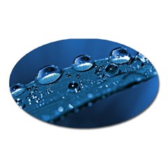 Drops Magnet (oval) by Siebenhuehner