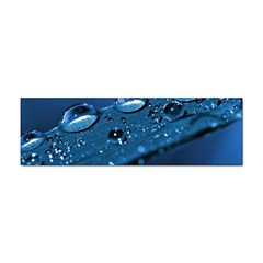 Drops Bumper Sticker 100 Pack by Siebenhuehner