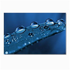 Drops Postcard 4 x 6  (10 Pack)