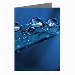 Drops Greeting Card (8 Pack) by Siebenhuehner