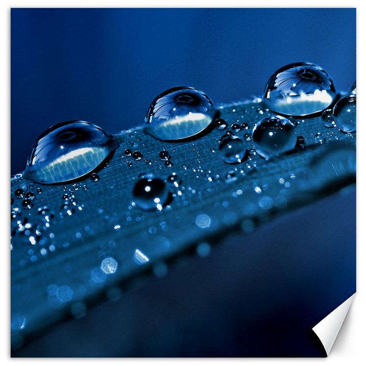 Drops Canvas 20  x 20  (Unframed)