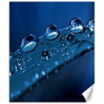 Drops Canvas 20  x 24  (Unframed) 19.57 x23.15  Canvas - 1