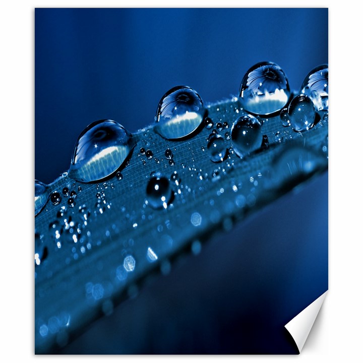 Drops Canvas 20  x 24  (Unframed)