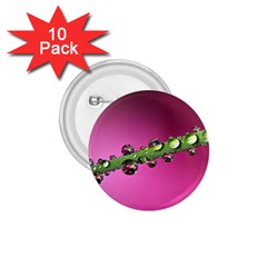 Drops 1 75  Button (10 Pack) by Siebenhuehner