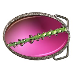 Drops Belt Buckle (oval) by Siebenhuehner