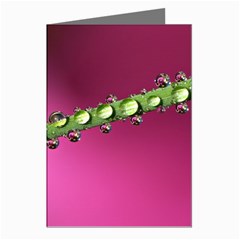 Drops Greeting Card (8 Pack) by Siebenhuehner