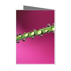 Drops Mini Greeting Card (8 Pack)