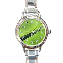 Green Drops Round Italian Charm Watch by Siebenhuehner