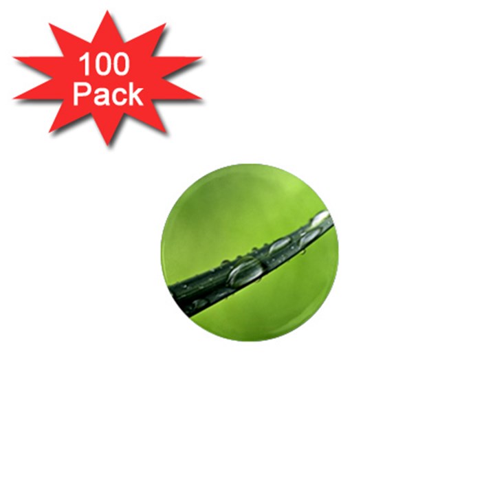 Green Drops 1  Mini Button Magnet (100 pack)