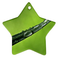 Green Drops Star Ornament (two Sides) by Siebenhuehner