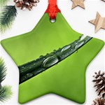 Green Drops Star Ornament (Two Sides) Front