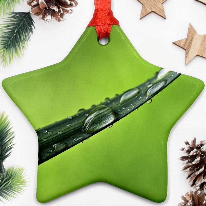 Green Drops Star Ornament (Two Sides)