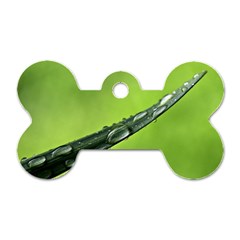 Green Drops Dog Tag Bone (two Sided) by Siebenhuehner