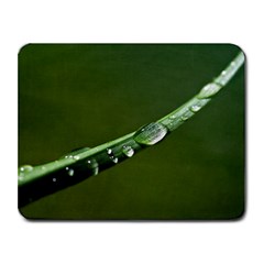 Grass Drops Small Mouse Pad (rectangle)