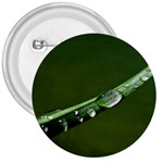 Grass Drops 3  Button Front