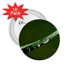 Grass Drops 2 25  Button (10 Pack)