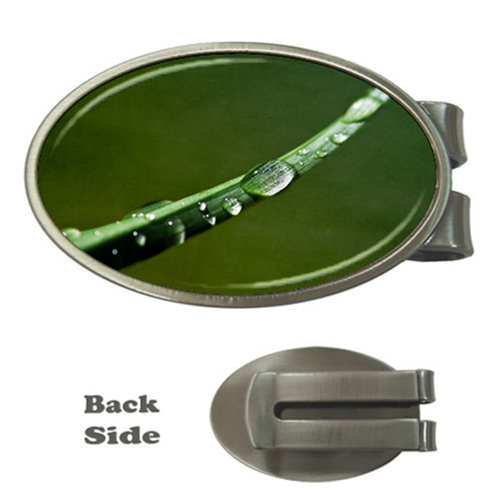 Grass Drops Money Clip (Oval)