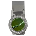 Grass Drops Money Clip (CZ) Front