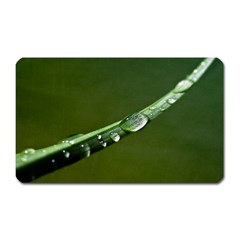 Grass Drops Magnet (rectangular)