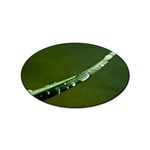 Grass Drops Sticker 100 Pack (Oval) Front