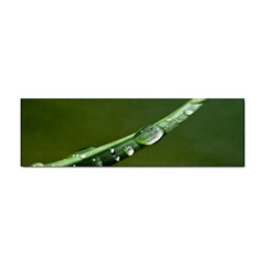 Grass Drops Bumper Sticker 100 Pack