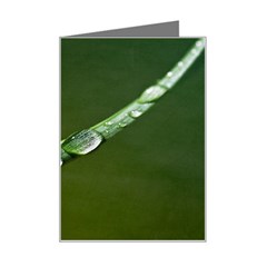 Grass Drops Mini Greeting Card