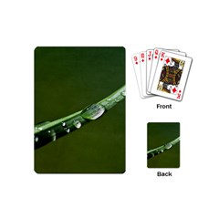 Grass Drops Playing Cards (mini)