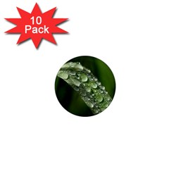 Grass Drops 1  Mini Button Magnet (10 Pack) by Siebenhuehner