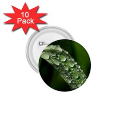 Grass Drops 1 75  Button (10 Pack) by Siebenhuehner