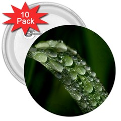 Grass Drops 3  Button (10 Pack) by Siebenhuehner