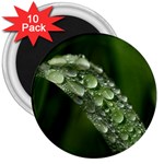 Grass Drops 3  Button Magnet (10 pack) Front